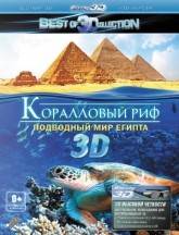 Коралловый риф 3D: Подводный мир Египта / Abenteuer Korallenriff (2012)