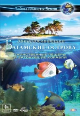 Багамские острова 3D: Таинственные пещеры и затонувшие корабли / Adventure Bahamas 3D: Mysterious Caves And Wrecks (2012)